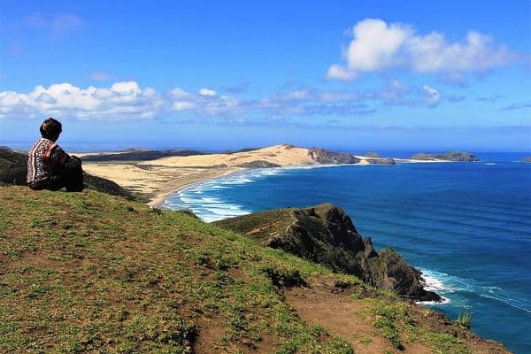 A Covid-19 experience: Watching a tsunami from afar