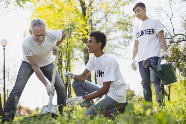 volunteer tree planting