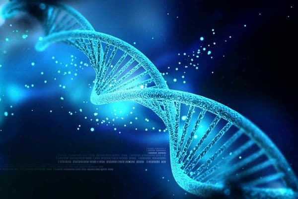 Genes predict glaucoma risk?