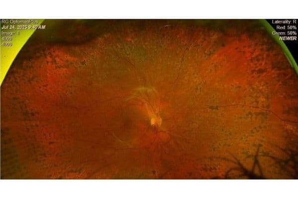 SPONSOREDEffective, comprehensive screening where its needed