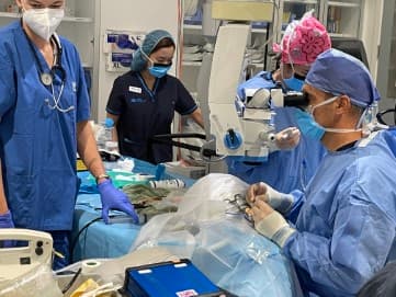 Cardi the penguin’s cataract operation-cardi-in-theatre.jpg