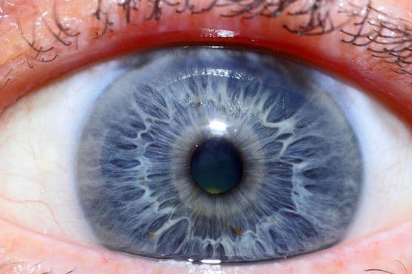 European patent for drug-dispensing CL