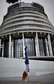 Back to the Future, take II-handstand-beehive.jpg