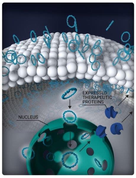 ARVO 2021 highlights-eyevensys-3.jpg