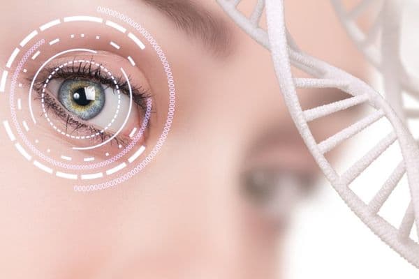 The optometrist’s role in inherited retinal diseases
