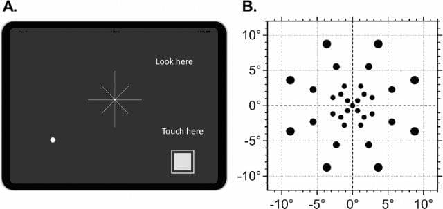 iPad visual field test-ipad-vf-test.jpg