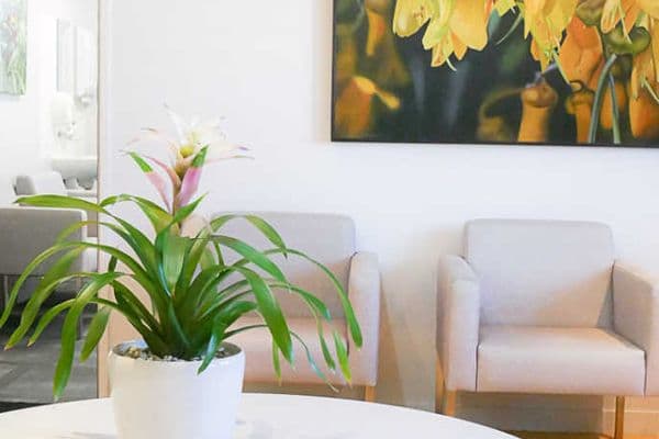 Oasis spa opens for business