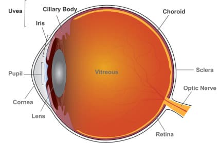 Different uveitis drugs, similar results