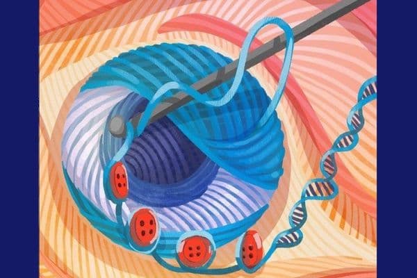 Retina genes’ development unveiled