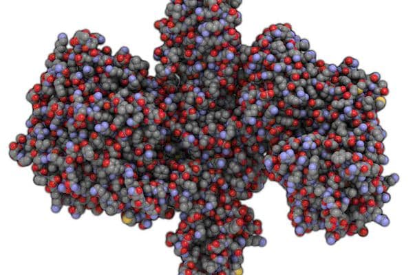 Botulinum toxin in oculoplastics