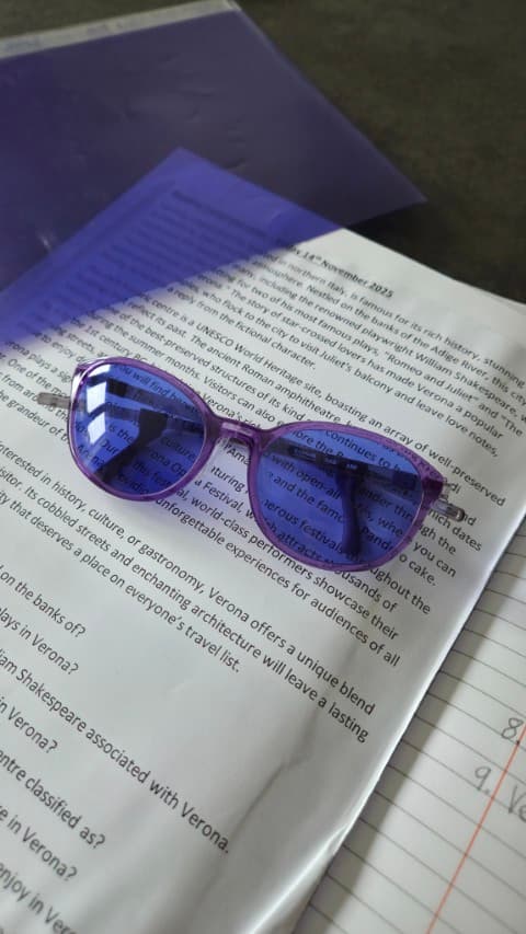 Visual Stress Glasses 1