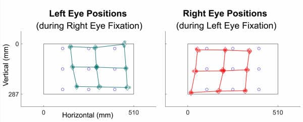 Strabismus measurement made easy-eyetracking2.jpg