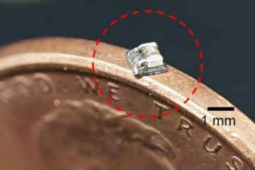 Tiny implant changes brain patterns
