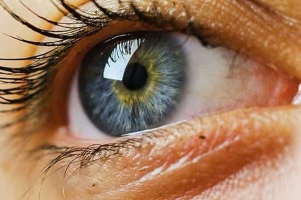 eye close up small