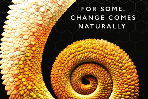 Younger’s new chameleon effect