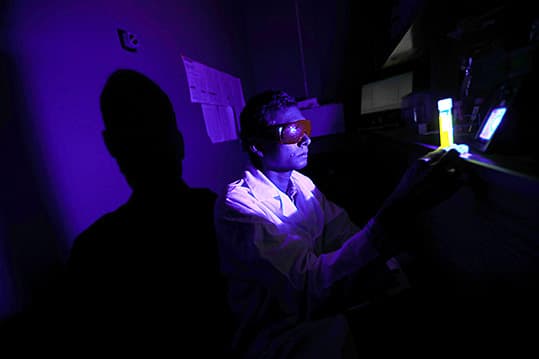 How blue light speeds blindness