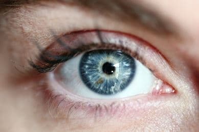 Eye protein stems retinopathy