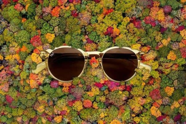 No animals were harmed in the making of this frame!