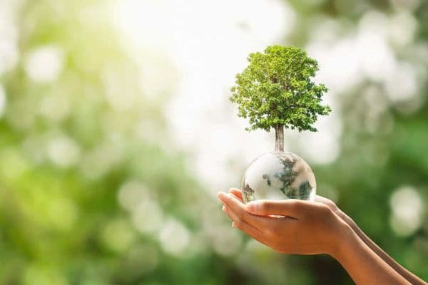 The sustainability starting line
