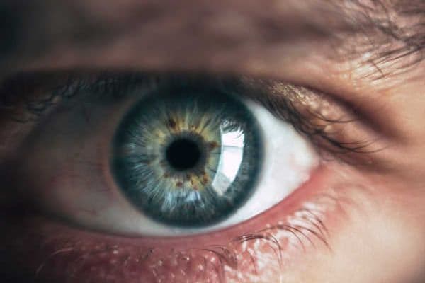 Faster, cheaper test for myopia