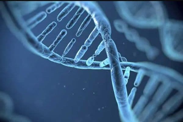 dna gene therapy