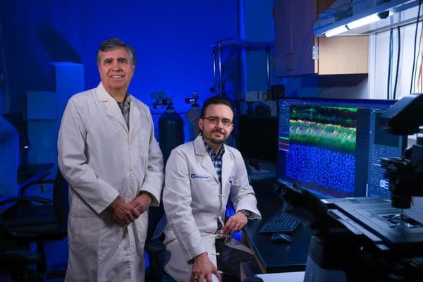 vgveyyvr duke eye researchers