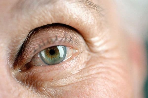 Medical retina research update