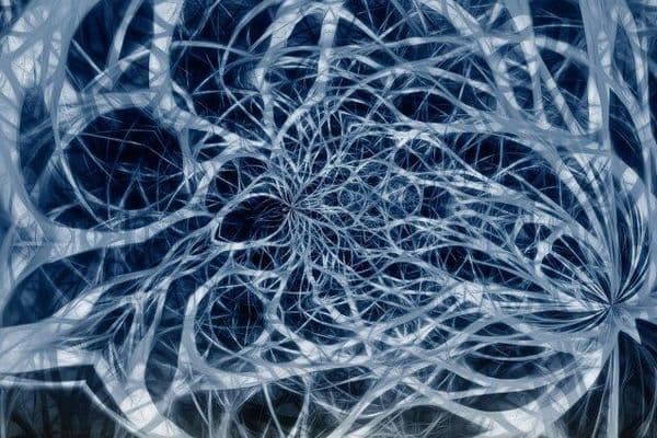 Optic stem cell discovery game changer?