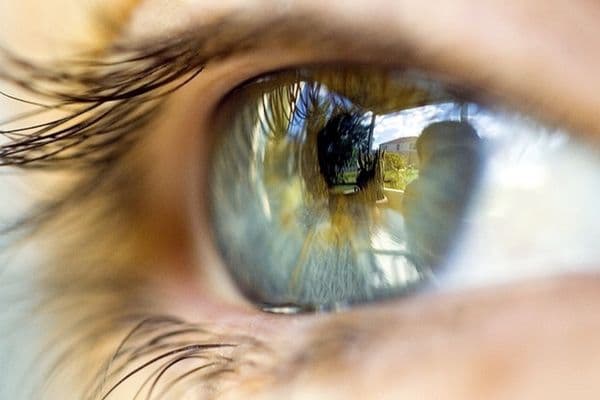 Sight - the most valued sense