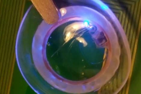Hydrogel smart contacts