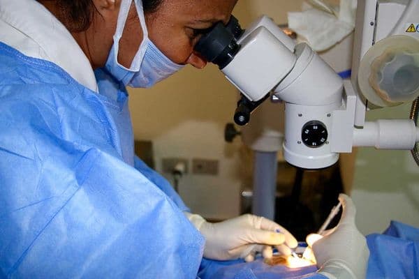 Anti-VEGF injection needs continue to rise