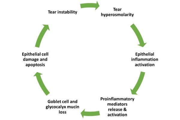 Inflammasomes and DED