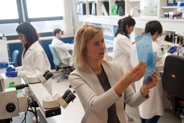 Novel therapy repairs ‘irreversible’ corneal damage