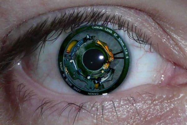 The eyes have IT