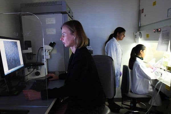 Corneal repair breakthrough