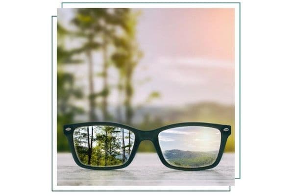 zetnylrh sustainable glasses online