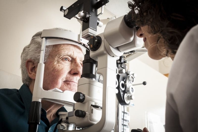 Sight is New Zealand’s most valued sense