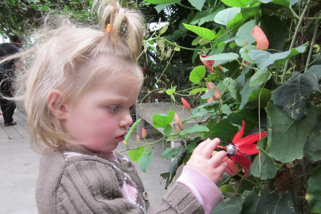 Toddler motor skills linked to VA (1)
