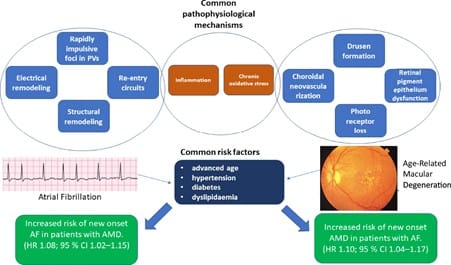 af and amd 1