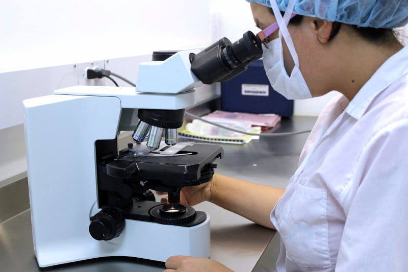 Macula cell differences discovered