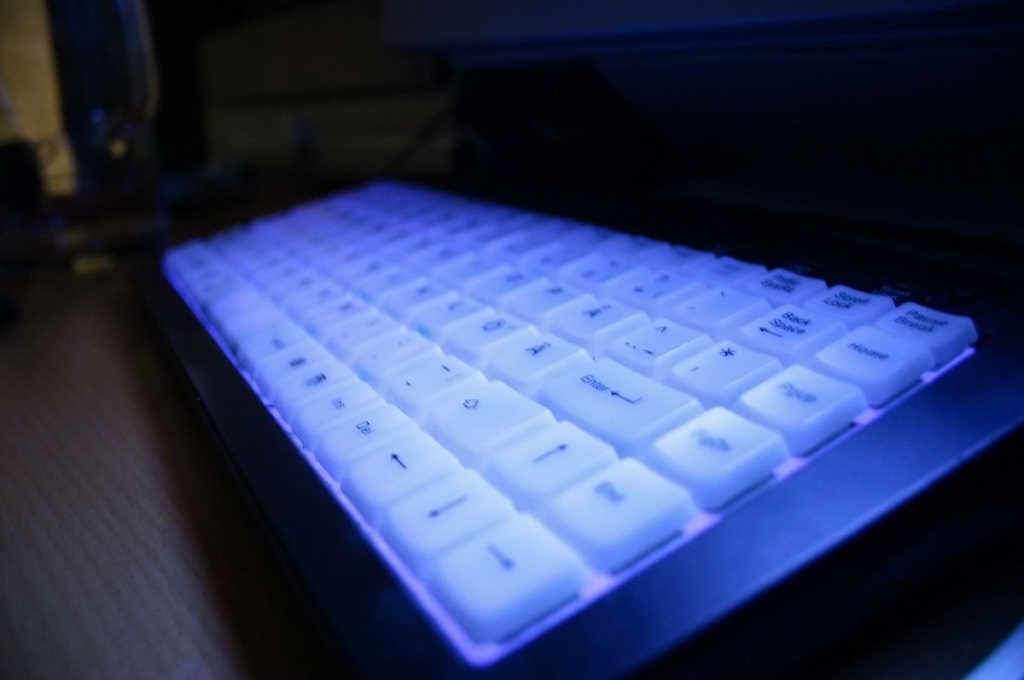 Bluelight obesity link?