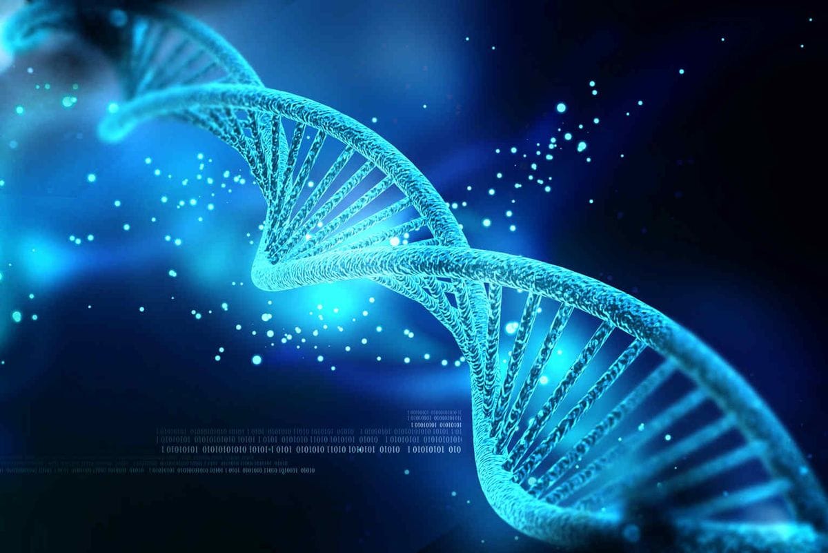 Genes predict glaucoma risk?