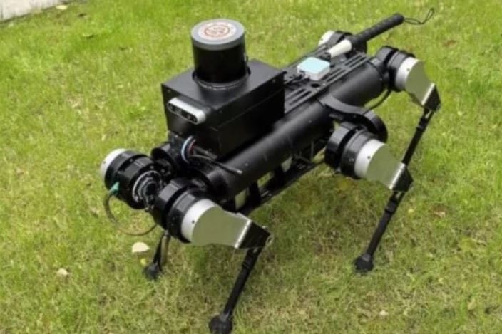 Robotic guide-dog substitute