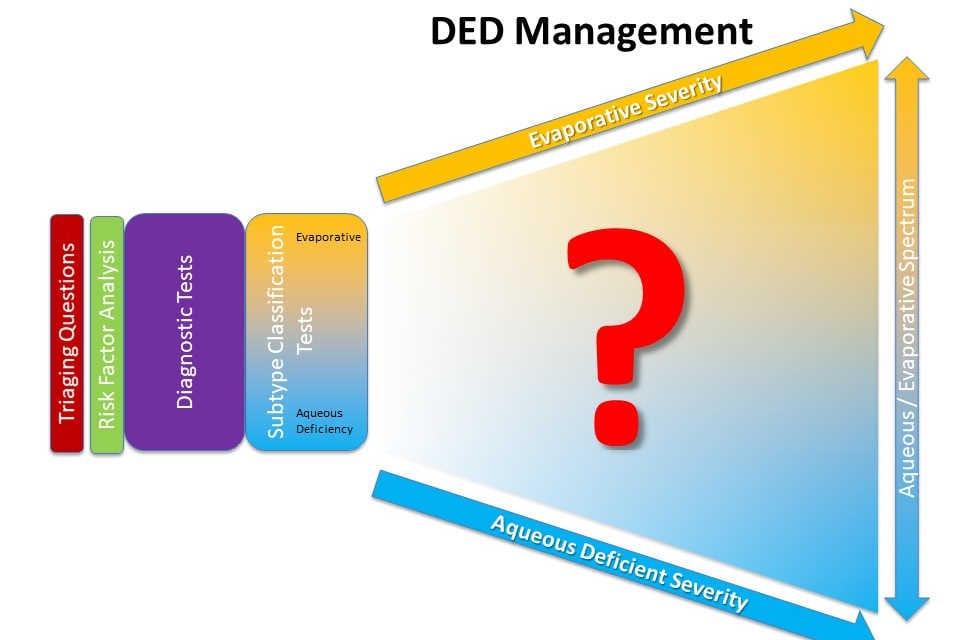 ECPs’ approach to dry eye management