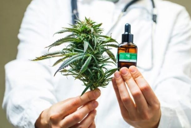 Medicinal cannabis regulations passed