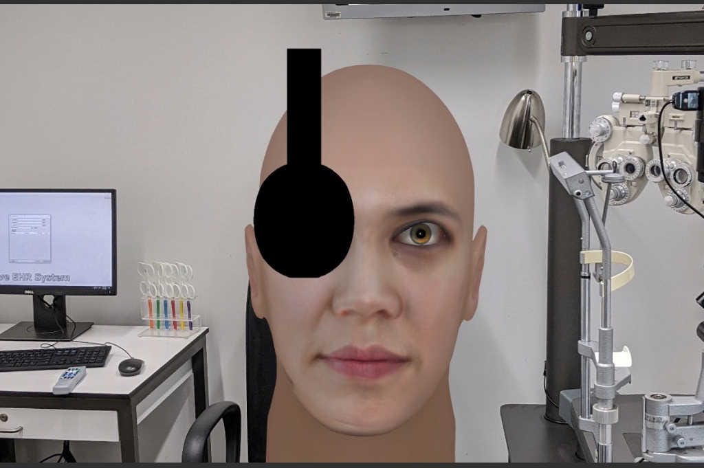 Developing a virtual patient