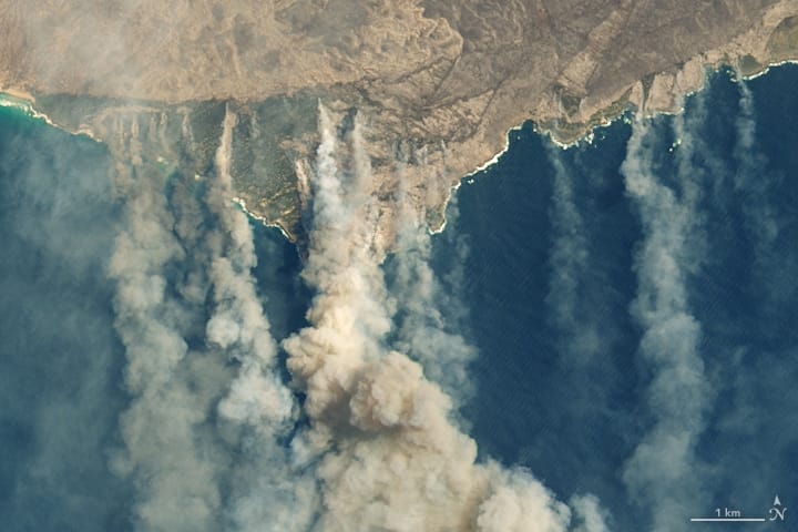 Specsavers' bushfire appeal pledge