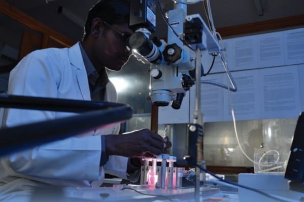 Study supports bi-phasic human eye growth model