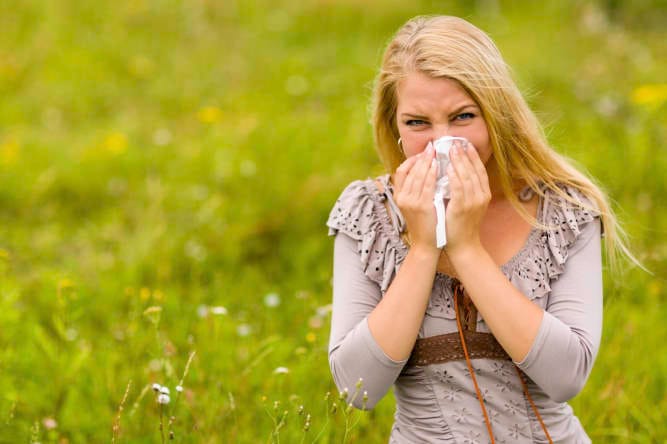 Phase 3 success for allergy drug