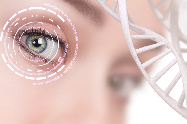 The optometrist’s role in inherited retinal diseases